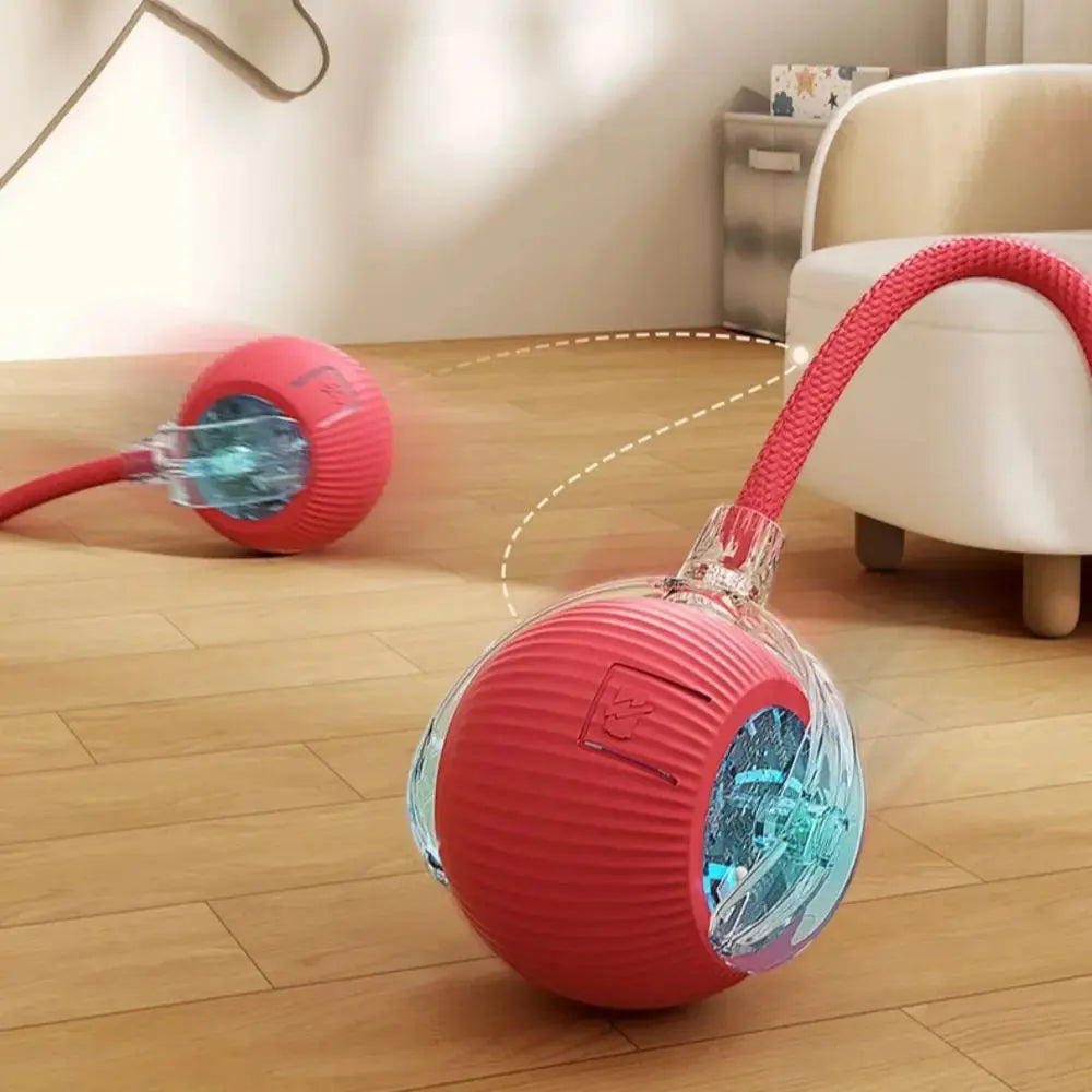Cat Automatic Rolling Ball