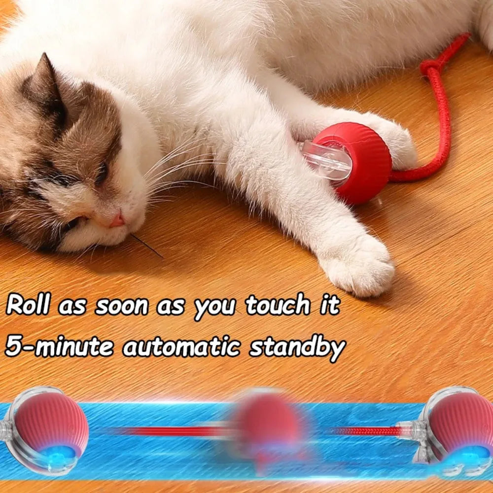 Cat Automatic Rolling Ball