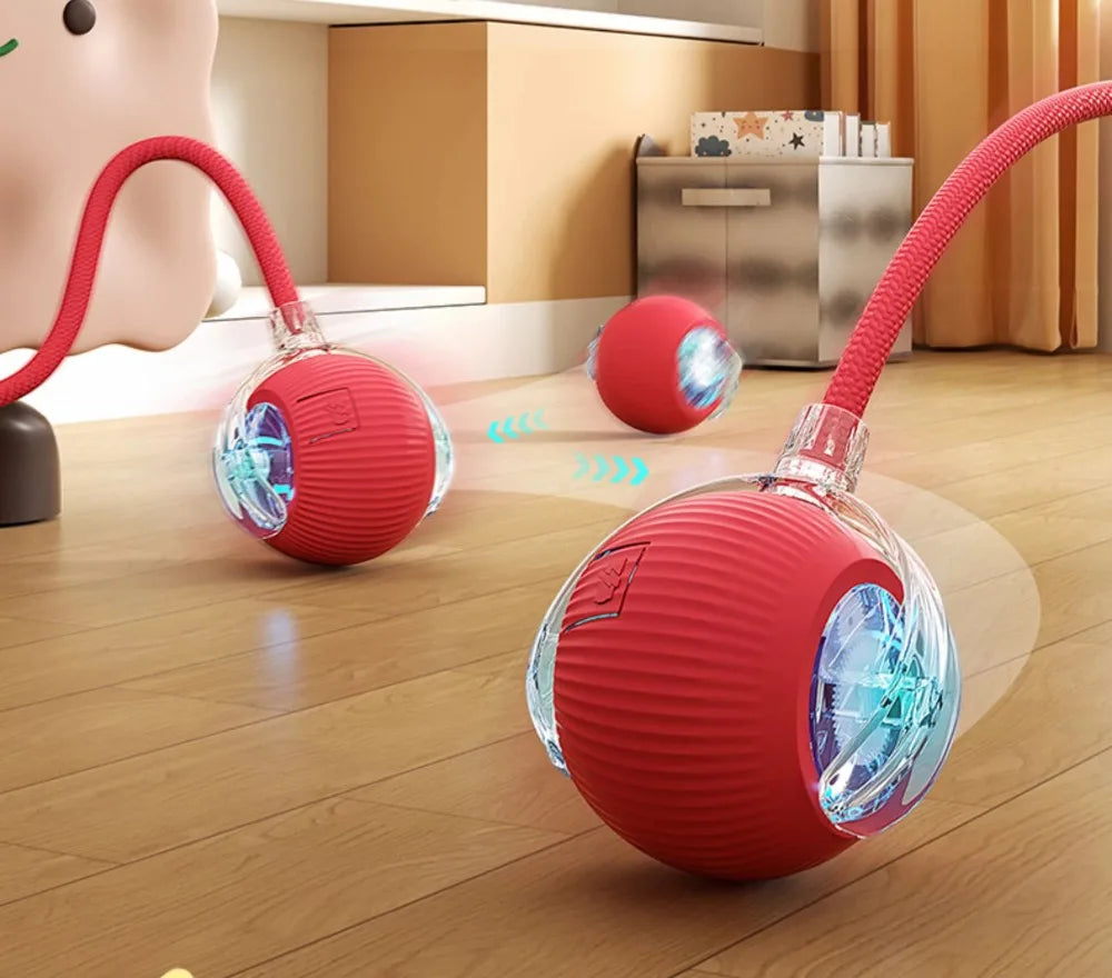 Cat Automatic Rolling Ball