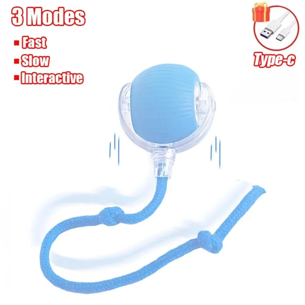 Cat Automatic Rolling Ball