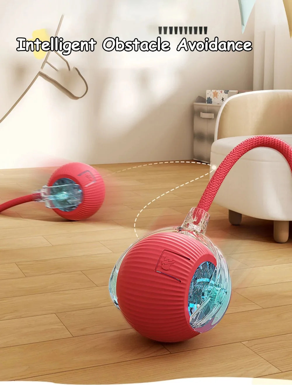 Cat Automatic Rolling Ball
