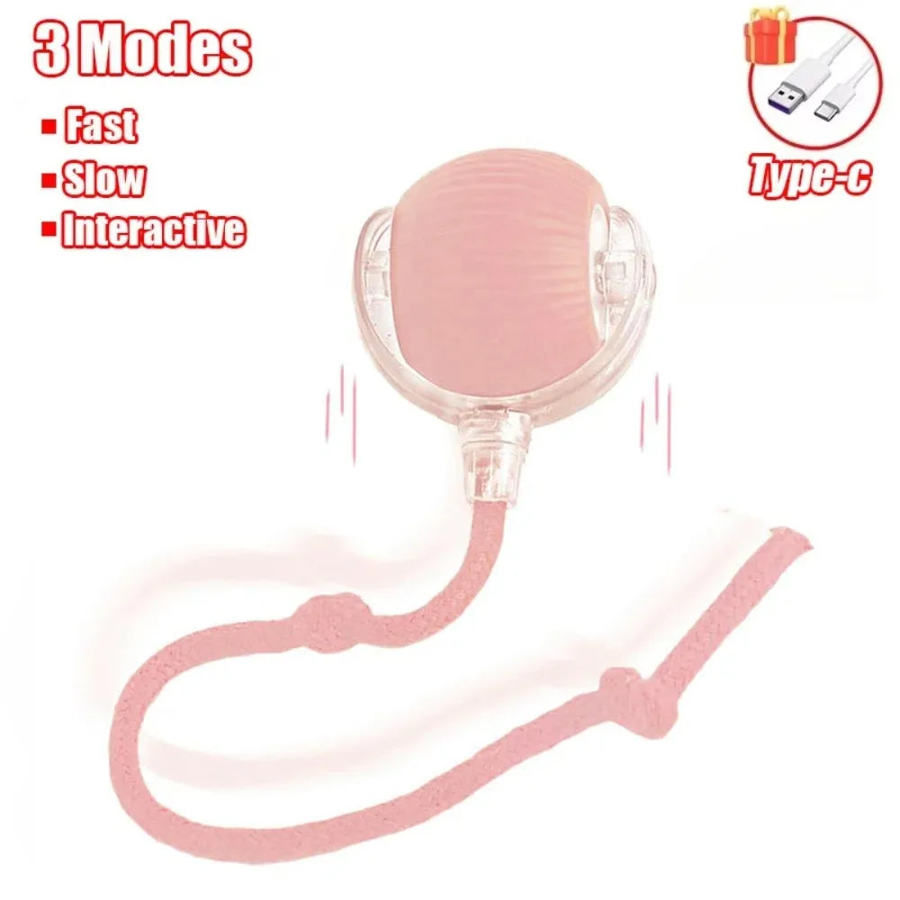 Cat Automatic Rolling Ball