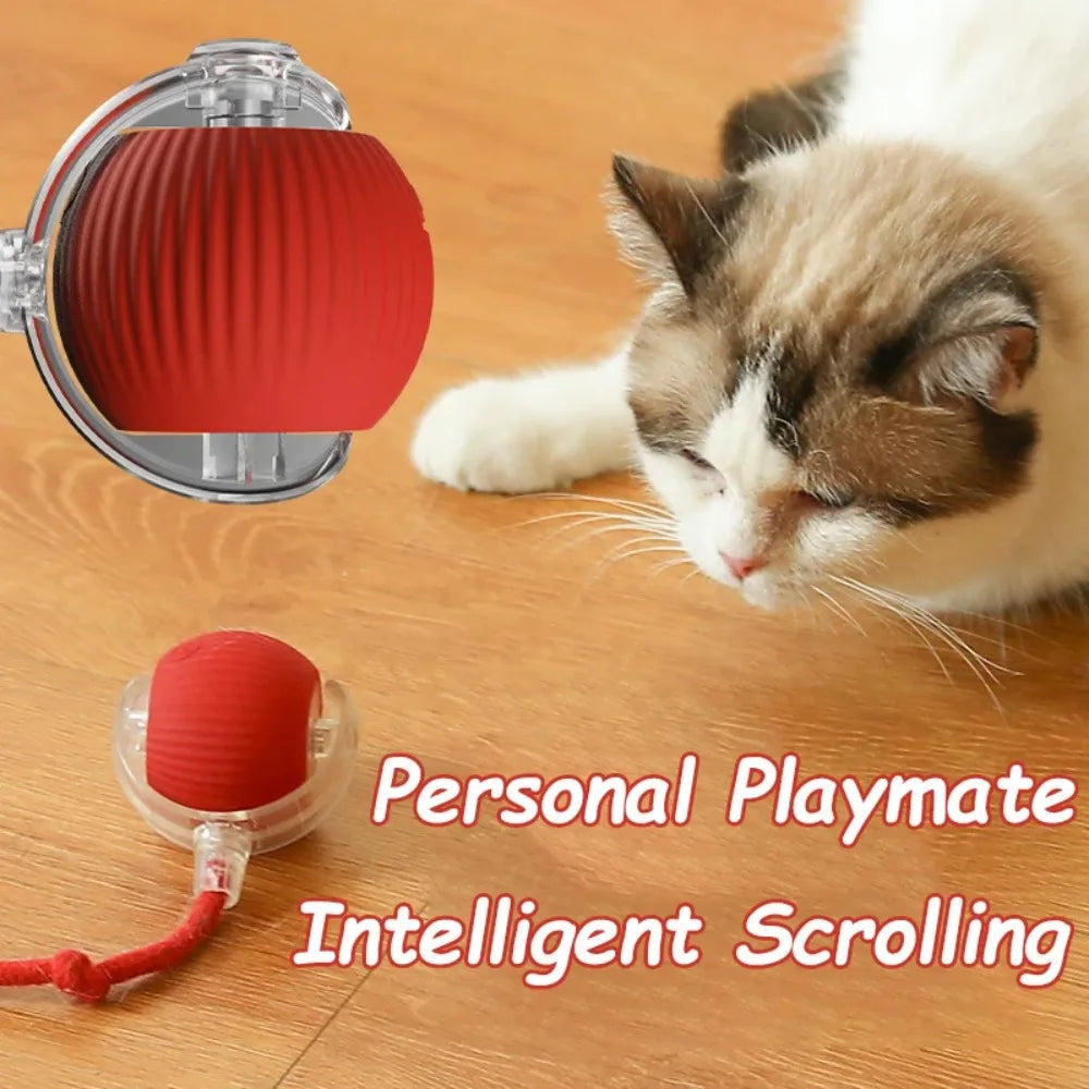 Cat Automatic Rolling Ball