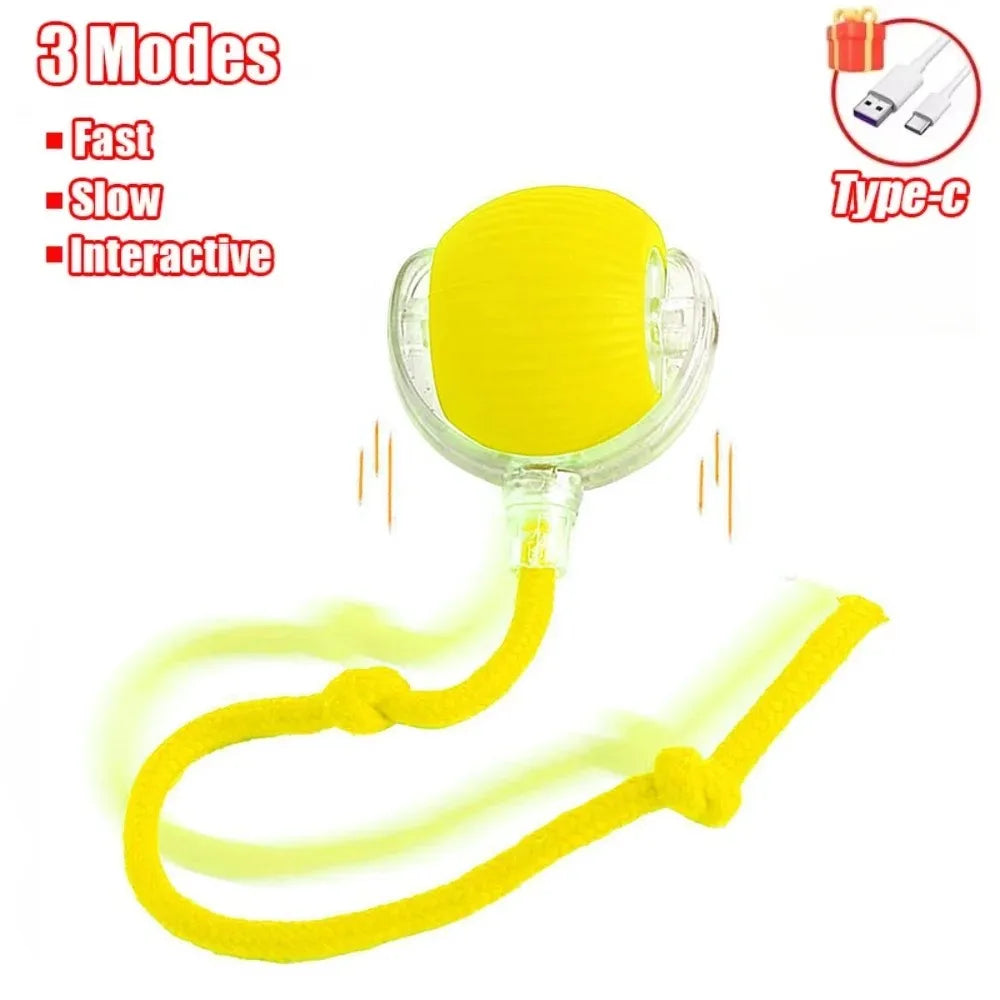 Cat Automatic Rolling Ball