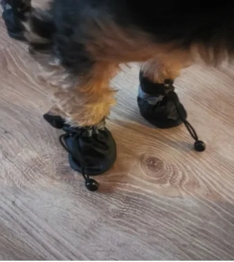 Waterproof Pet Dog Shoes