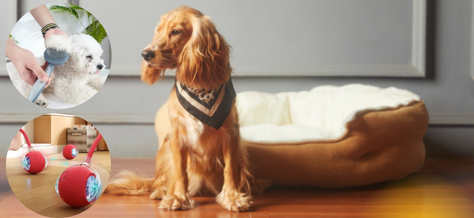 slider image slider_item_gC6Fpa