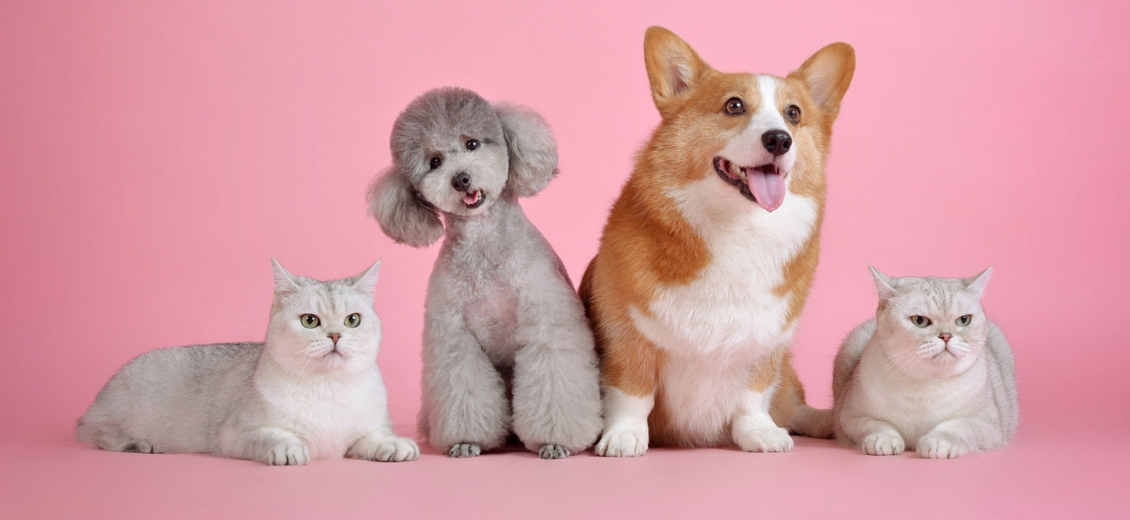 slider image slider_item_BMgFGi